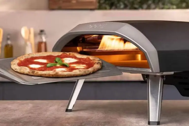 types of pizza ovens