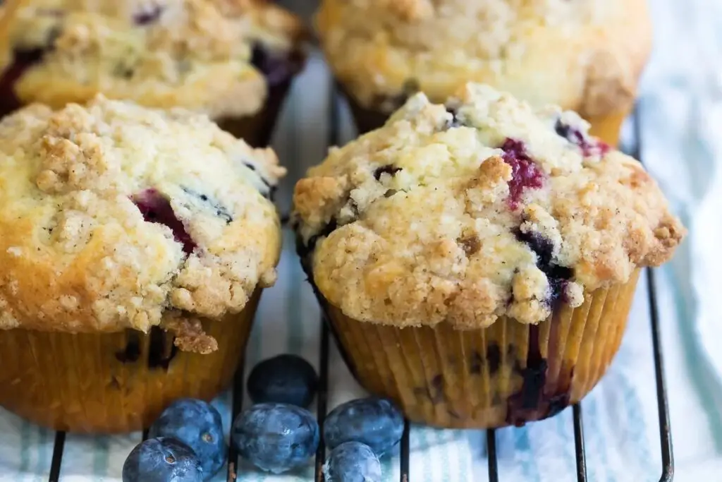 Steam Oven Recipes-Blueberry Muffins Recipe