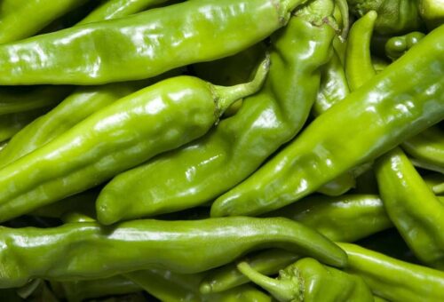 Hatch Green Chile
