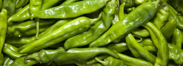 Hatch Green Chile